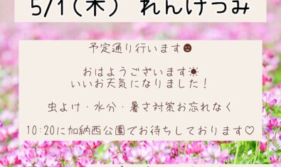 ✩5/1（木）れんげつみについて✩